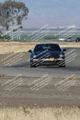 media/May-03-2024-PCA Central Coast (Fri) [[eaa7da0ee1]]/Yellow Group/Session 1 (Grapevine)/